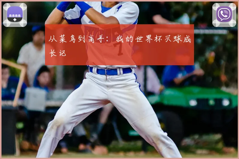 从菜鸟到高手：我的世界杯买球成长记