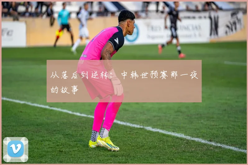 从落后到逆转：中韩世预赛那一夜的故事