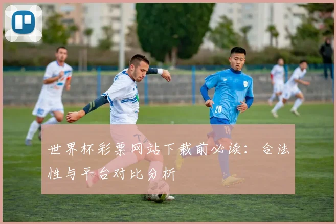 世界杯彩票网站下载前必读：合法性与平台对比分析