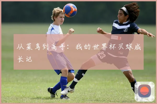 从菜鸟到高手：我的世界杯买球成长记
